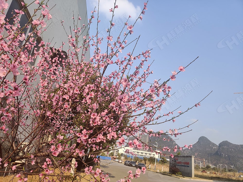 廣西桂林鴻程機(jī)械廠里花團(tuán)錦簇，滿園春色，邀您一起共賞春景，共商大計！