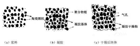 凝膠注模成型陶瓷膜詳細(xì)操作步驟